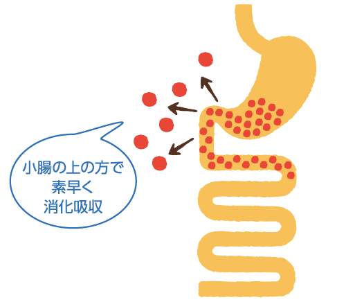 消化吸収が早い食べ方「ファストカロリー」