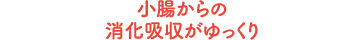 小腸からの消化吸収がゆっくり